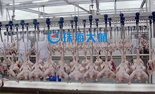 重量分揀設(shè)備如何實(shí)現(xiàn)整雞分選？