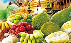 探索水果分揀機(jī)如何通過自動(dòng)化技術(shù)在果園、加工廠、保鮮庫(kù)及零售環(huán)節(jié)提高生產(chǎn)效率，降低成本，并確保水果品質(zhì)滿足市場(chǎng)需求。