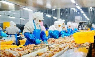 雞翅自動重量分選機_食品加工設(shè)備_精準(zhǔn)分選