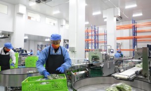 蔬菜配重機：解決人工成本與效率問題，助力蔬菜加工發(fā)展