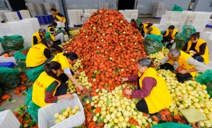 自動(dòng)化分揀稱重設(shè)備：助力生鮮、凍貨及食品加工行業(yè)突破瓶頸