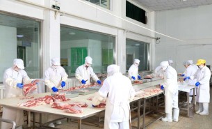 探索自動檢重秤在羊肉及多種肉類重量分選中的創(chuàng)新應用