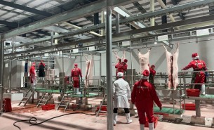 解析自動檢重秤組合多頭秤在豬肉及小重量產品中的創(chuàng)新應用