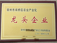 農(nóng)業(yè)產(chǎn)業(yè)化龍頭企業(yè)