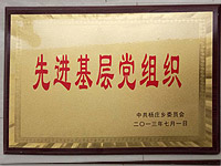 二0一三先進(jìn)黨組織