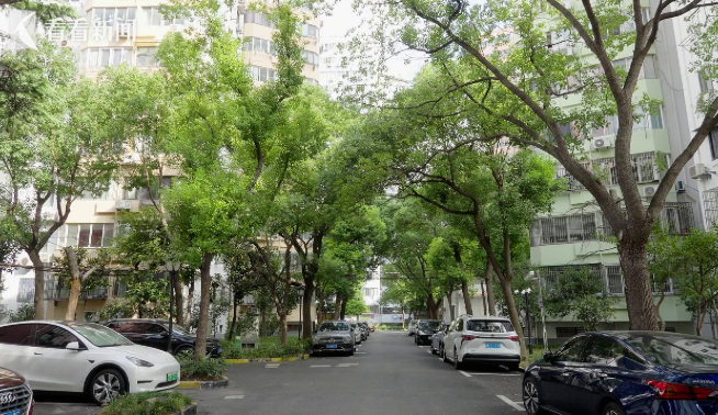 圖片關鍵詞