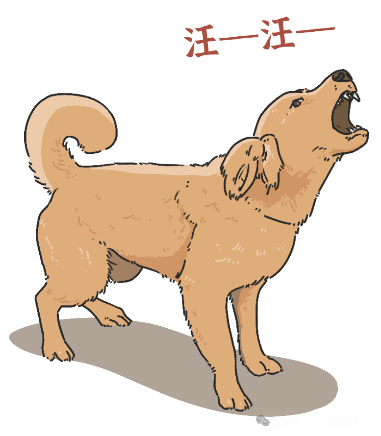 圖片關鍵詞 圖片