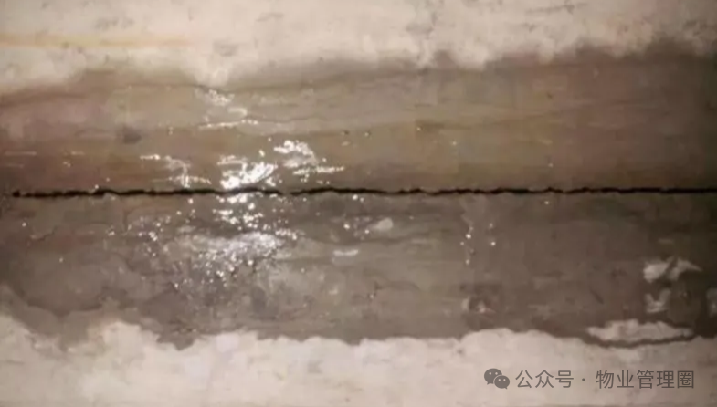 圖片關鍵詞 圖片