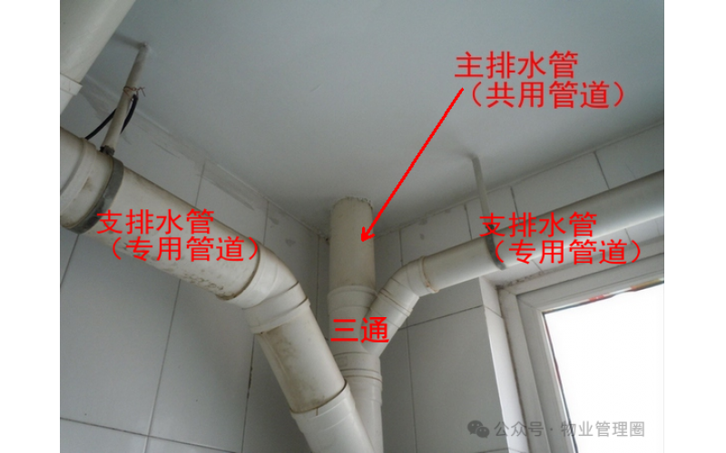 要是業(yè)主室內(nèi)的下水管漏了水，該由誰管修呀？這有什么規(guī)定或者依據(jù)嗎？