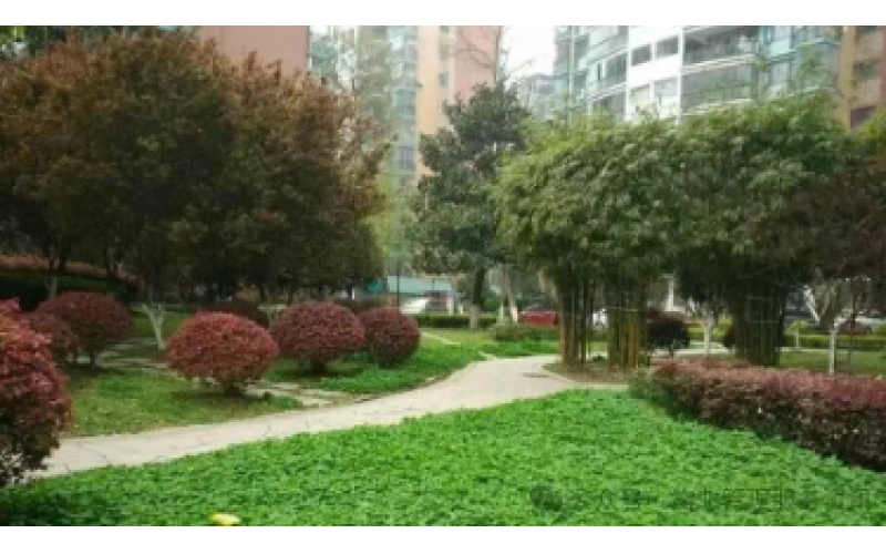 你交的物業費包含哪些服務？