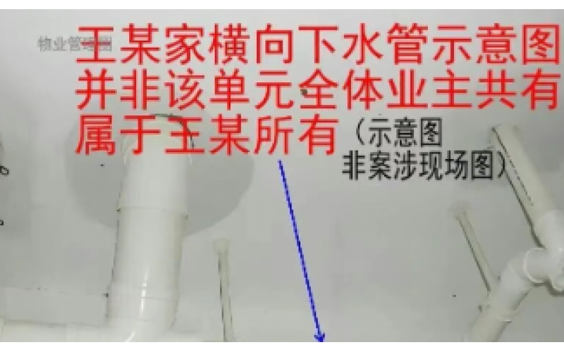 樓上支管漏水、樓下遭殃，誰承擔賠償責任？