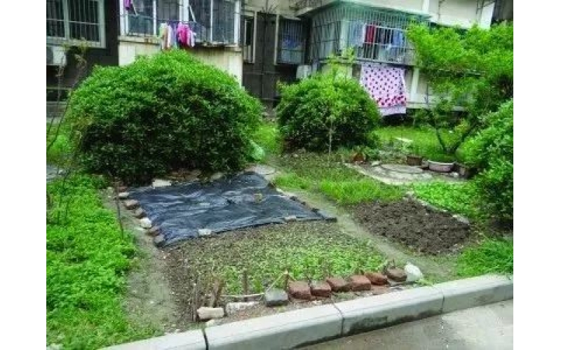 車停在小區(qū)消防通道，被墻磚砸中，物業(yè)要賠嗎？